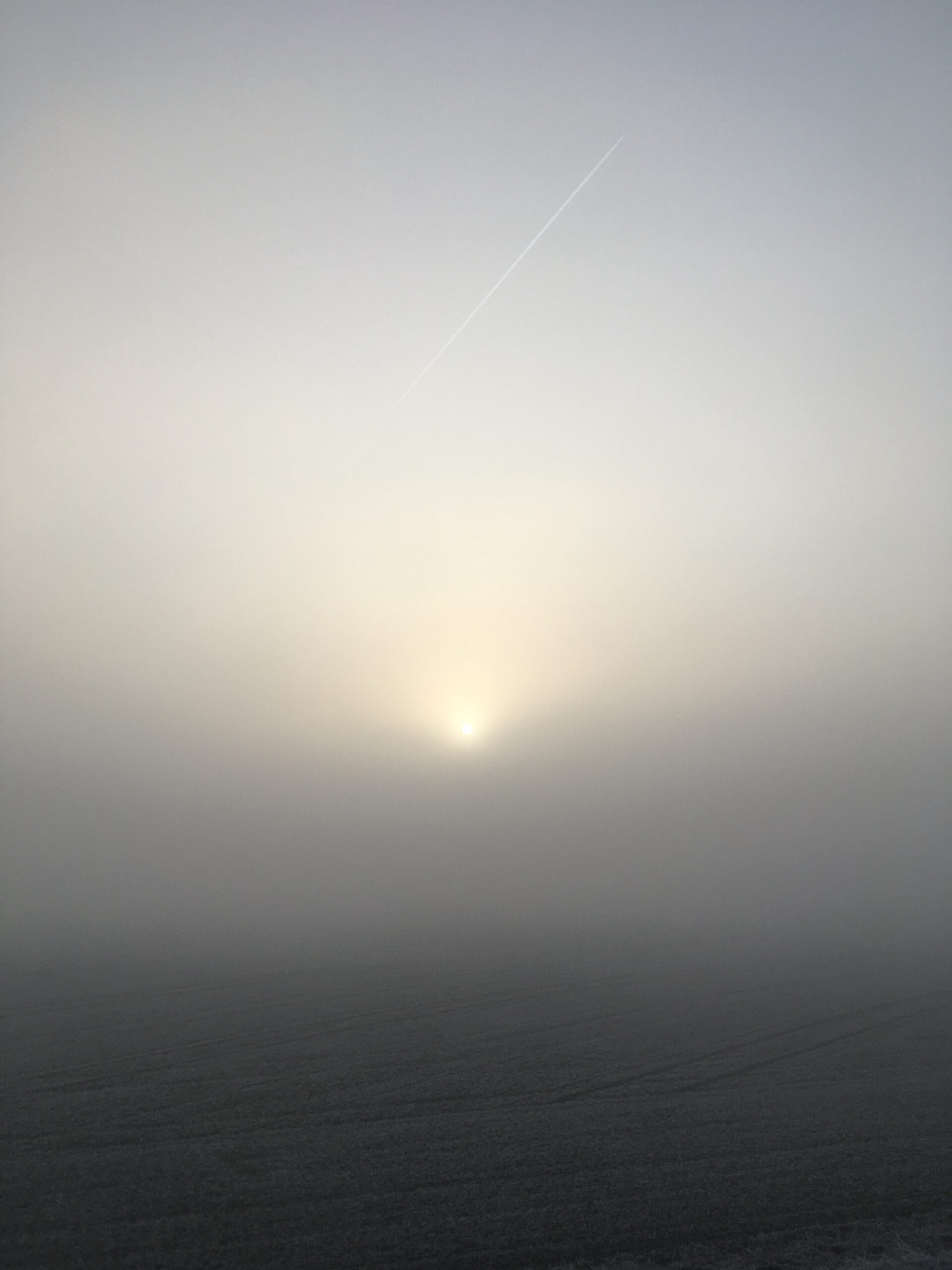 Frost on plants, trees, leaves and grass. Snow and white winter in Bavaria, Germany.