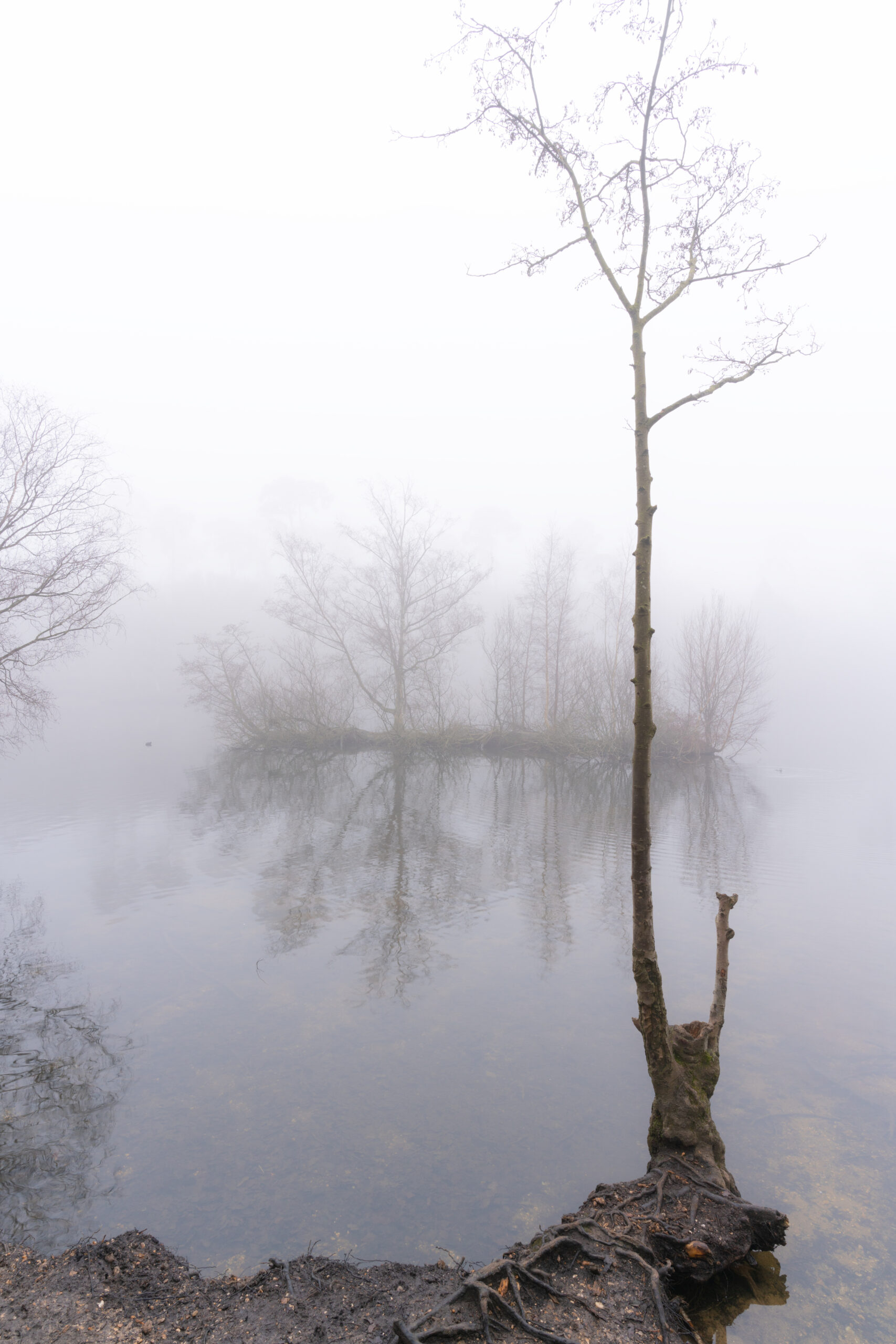 Island On The Misty Lake