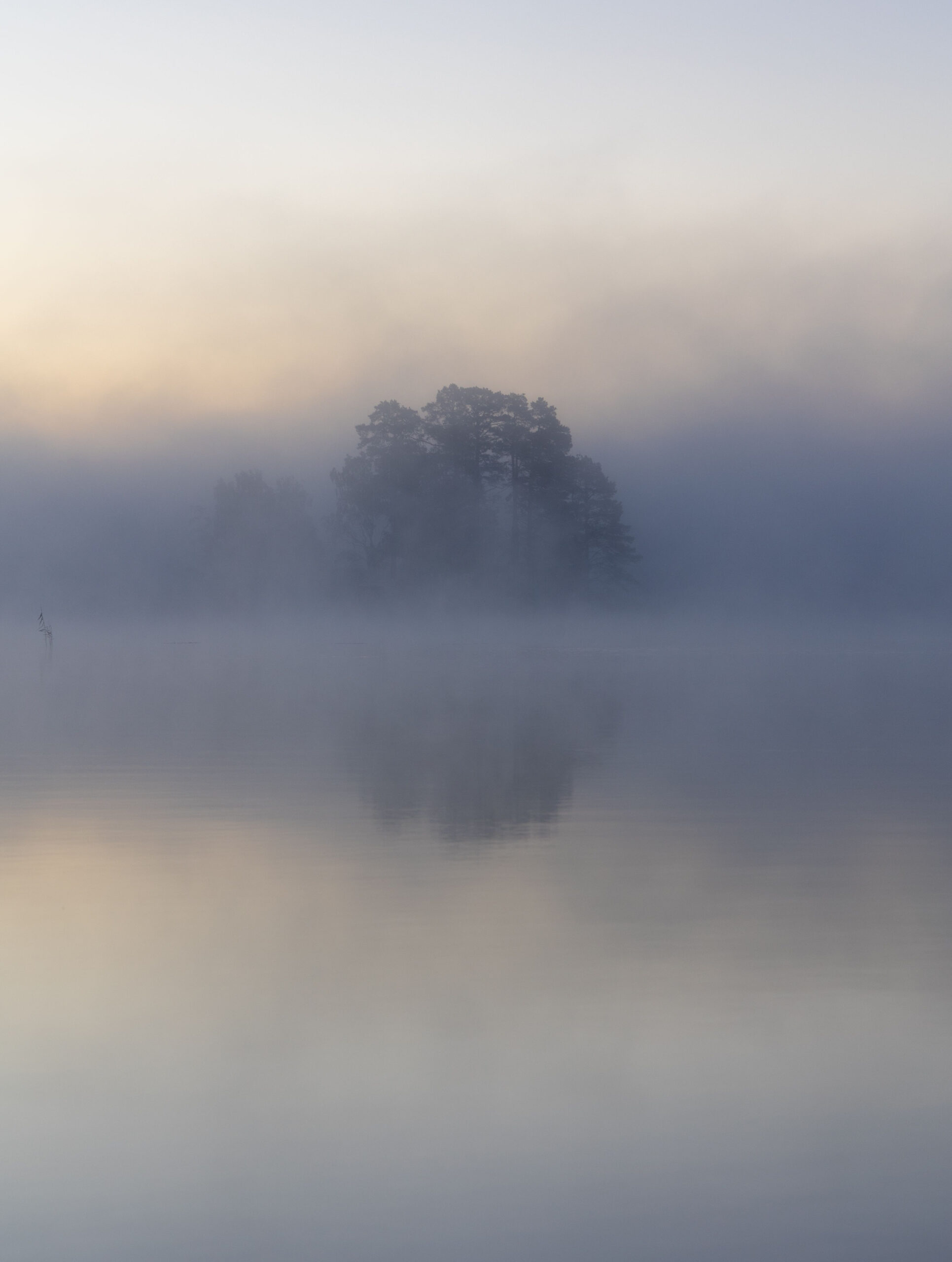 Misty lake tucked away in a forest, surrounded by lush green foliage.