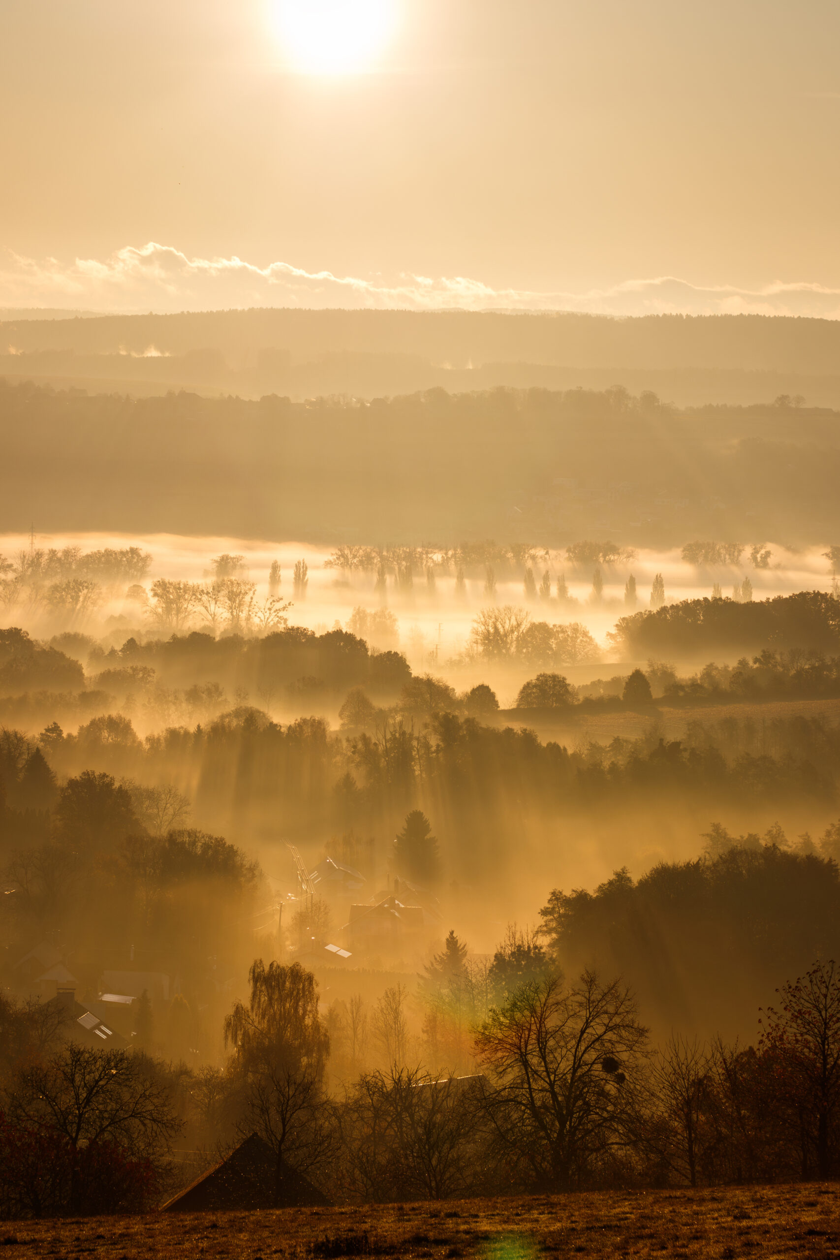 Autumn fog with sunbeams over countryside during sunrise