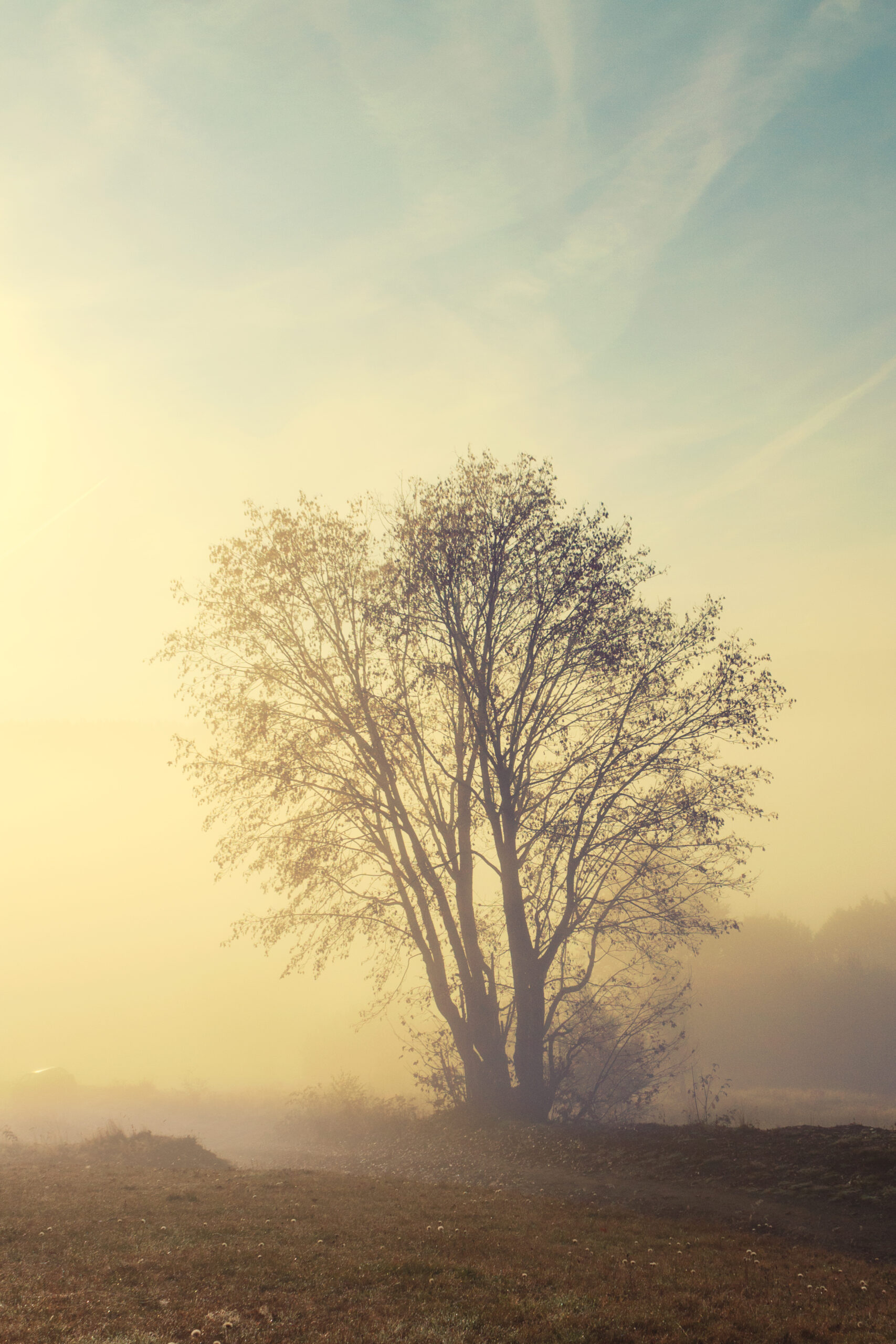 Typical mountain landscape of Bihar Mountains